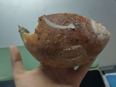 -七叔是岛民(大学城gogo新天地店)
