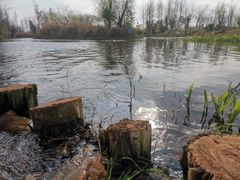 -呈贡滇池生态湿地公园