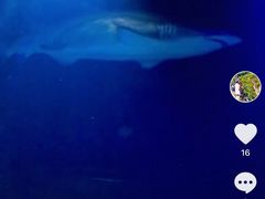 -凯莉-塔尔敦海洋生物水族馆