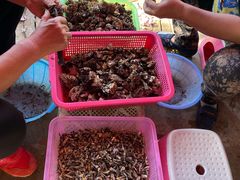 洗菌子-双喜农庄·菌香园(安居家园店)