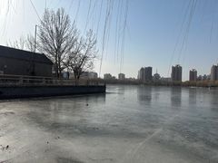 -莲花池公园