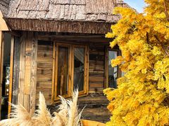 -Blue Concept Cafe&Farm·關於藍