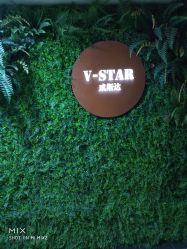 -V-STAR威斯达•高级私人定制