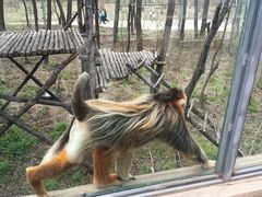 -哈尔滨北方森林动物园