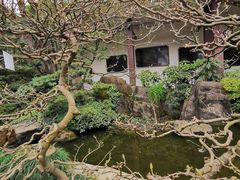 -南山植物园