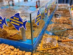 -海铺·渔家虾水饺(皇姑店)