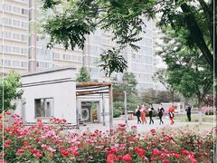 -石榴庄公园