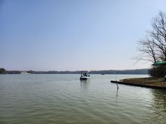 -上海海湾国家森林公园