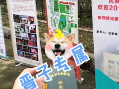 -皇家茱莉亚艺术明星训练基地