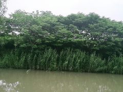 -新江湾城公园
