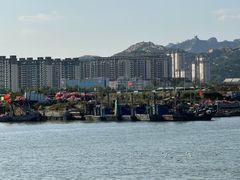 -日照海滨国家森林公园