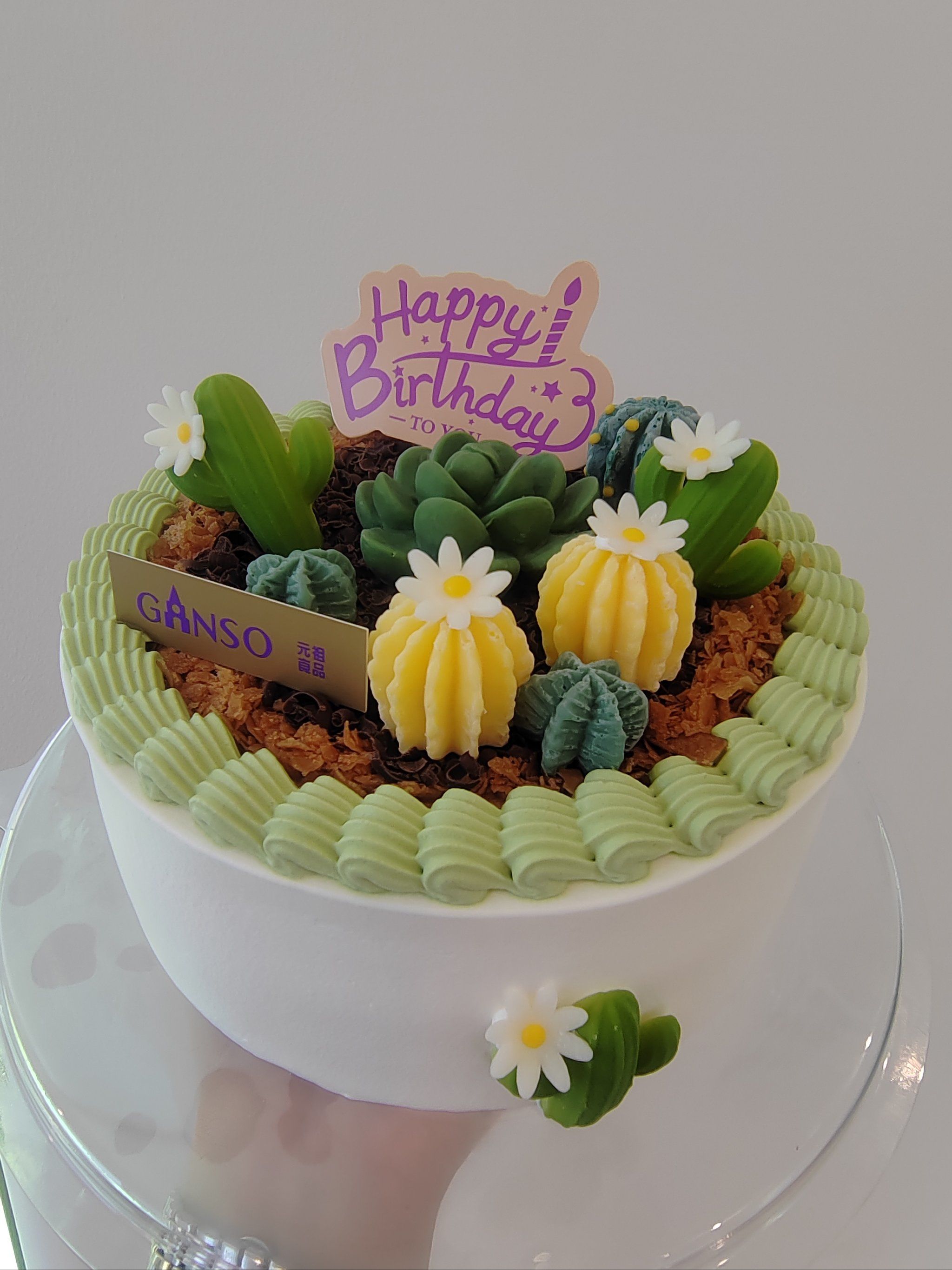 看这绿色多肉蛋糕太惊艳