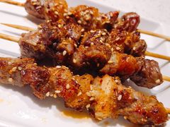 -九府羊·鲜羊火锅·烤串(新华路店)
