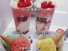 -极拉图·现制冰淇淋(大卫城店)