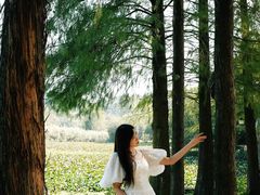 -南宁良凤江国家森林公园