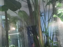 -IL Forno 意坊·意大利餐厅(花园店)