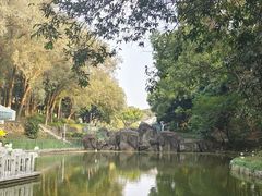 -紫马岭公园
