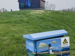 -荷兰花海