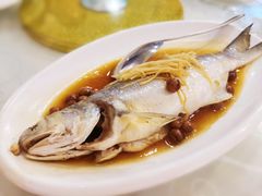 破布子午鱼-光头匠