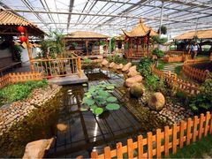 iphone_upload_pic-上海都市菜园