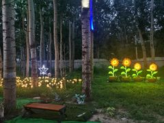 -枫花园汽车电影院(朝阳公园店)