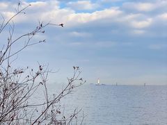 -上海吴淞炮台湾国家湿地公园