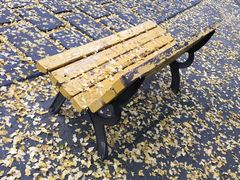 -四川大学(华西校区)