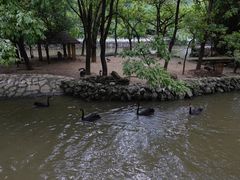 -黔灵山公园