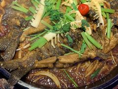 -老板恋上鱼(恒隆广场店)