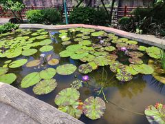 -广州莲花山旅游区