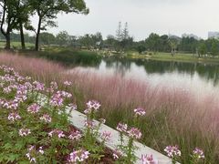 -上海植物园-4号门售票处