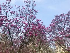 -白塘生态植物园