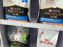 -宠颐生宠物医院外科·内科·皮肤科·影像科(石龙店)