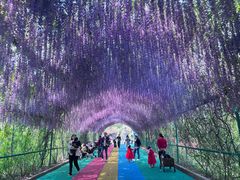 -常州淹城野生动物世界