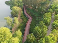 -金银湖国家城市湿地公园