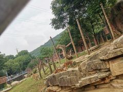 -无锡动物园·太湖欢乐园