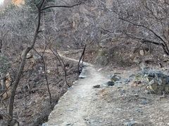 -北京鹫峰国家森林公园