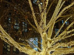 -北京市海淀外国语实验学校