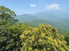 -青城山