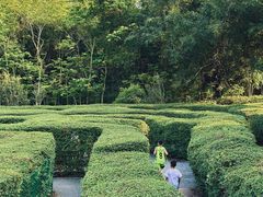 -大屏嶂森林公园