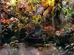 -北京植物园-展览温室