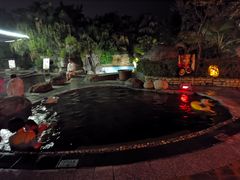 -雅安楠水阁温泉酒店