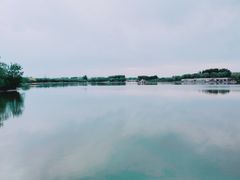 -大兴滨河森林公园