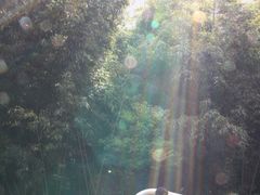 -苏州河梦清园环保主题公园