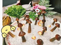 -禄婶鸡煲·打边炉