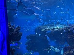 -海合安成都极地海洋公园