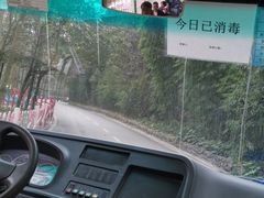 -贵州森林野生动物园