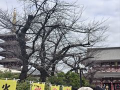 -浅草寺