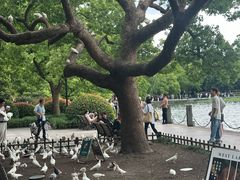 -杭州湖滨in77