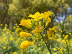 -世纪公园-世纪春沁园